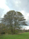 Description de cette image, galement commente ci-aprs