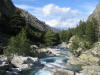 Les gorges et la rivire de la Restonica en Haute-Corse