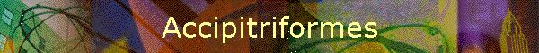 Accipitriformes