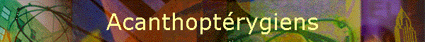 Acanthoptrygiens