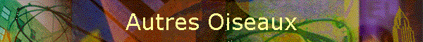Autres Oiseaux