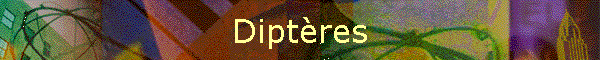 Diptres