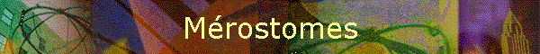 Mrostomes