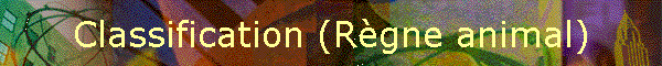 Classification (Rgne animal)