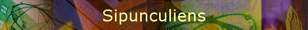 Sipunculiens