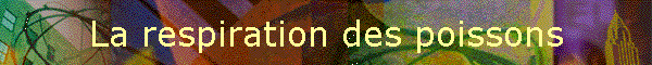 La respiration des poissons