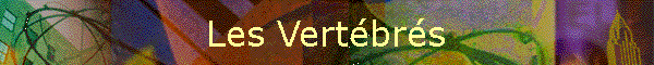 Les Vertbrs