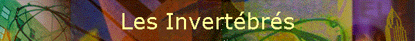Les Invertbrs