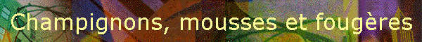 Champignons, mousses et fougres