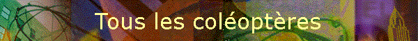 Tous les coloptres