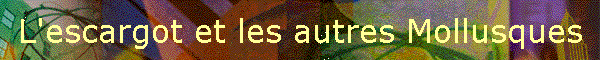 L'escargot et les autres Mollusques