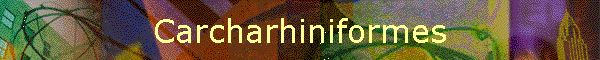 Carcharhiniformes