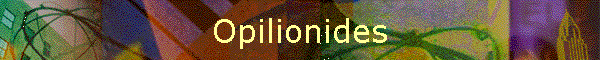 Opilionides