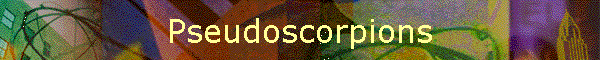 Pseudoscorpions