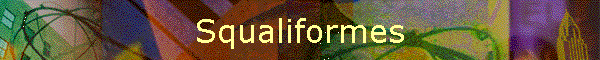 Squaliformes
