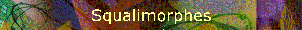 Squalimorphes