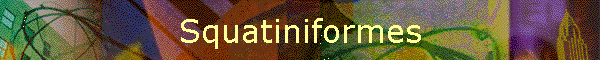 Squatiniformes