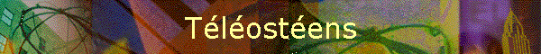 Tlostens